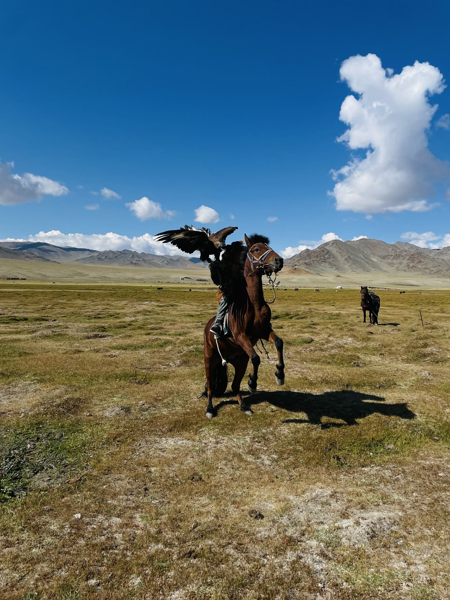 Mongolia eagle hunter visit on self drive tour